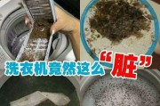 如何正确清洗油烟机和洗衣机（保持厨房与洗衣间的清洁）