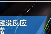 鼠标左键失灵的修复方法（解决鼠标左键失灵问题的简单步骤）