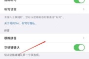 如何设置iPhone拍照模糊（轻松掌握iPhone拍照模糊技巧）