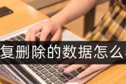 误删文件恢复（从不同存储设备中恢复误删文件的高效策略）