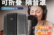 麦克风噪音消除技术的探索与应用（以数字信号处理为核心的噪音消除方法解析）