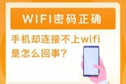 手机连接wifi却无法上网？如何快速解决？