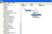 如何去掉移动U盘的写保护（简单有效的方法解决移动U盘写保护问题）