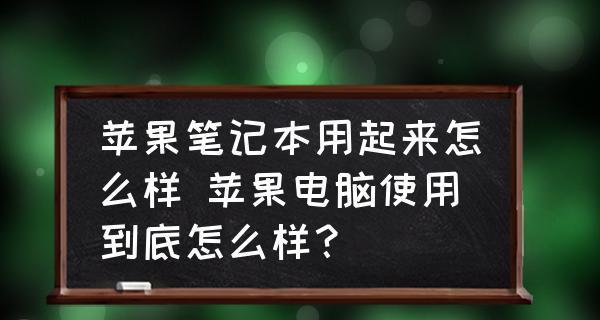 电脑办公软件基础知识教程分享（学习使用电脑办公软件）