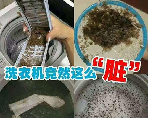 如何正确清洗油烟机和洗衣机（保持厨房与洗衣间的清洁）